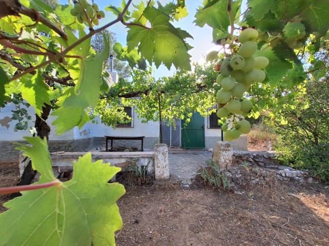 Masía en venta en Alcoi, Centre Zona Alta. Tu refugio en plena naturaleza a solo 2 km de Alcoy!. Masías.