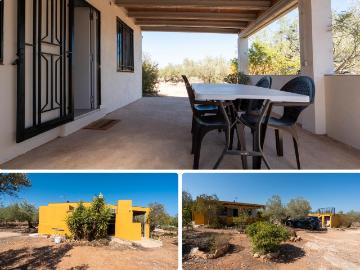 Masía en venta en Aldea L´ Costa Dorada. Finca rústica con casa de campo en buen estado. Masías Aldea.