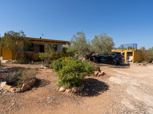 Masía en venta en Aldea L´ Costa Dorada. Finca rústica con casa de campo en buen estado. Masías Aldea.
