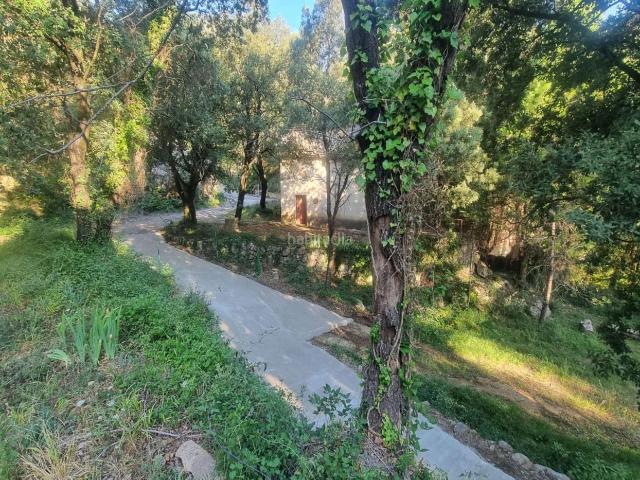 Masía en venta en Alfara de Carles. Masías Alfara de.