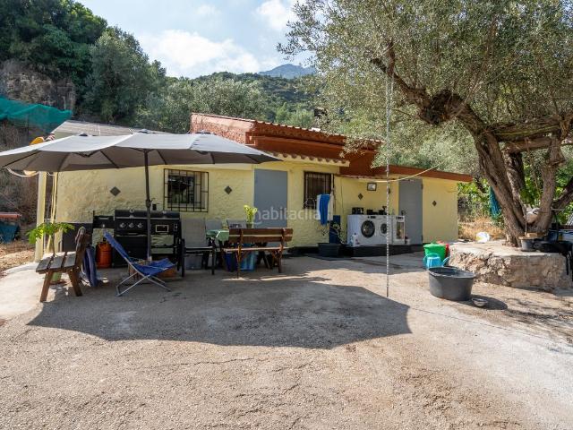 Masía en venta en Alfara de Carles. Gran finca con olivos y vivienda unifamiliar con agua y luz. Masías Alfara de.