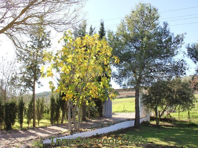 Masía en venta en Algodonales. Casa de Campo en venta en Algodonales, 3 dormitorios. Masías.