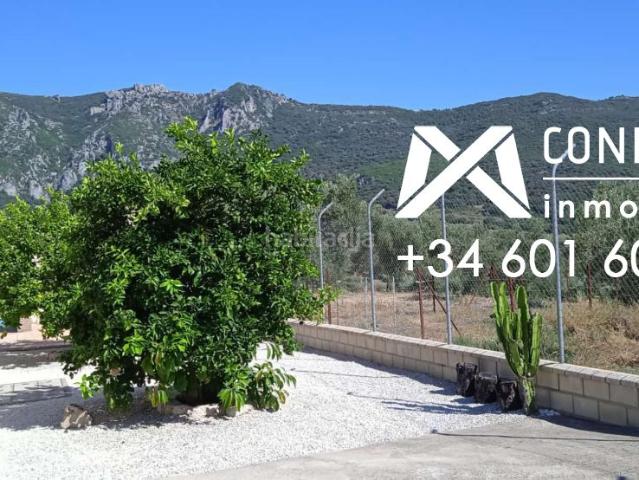 Masía en venta en Algodonales. Finca en venta en Algodonales, 3 dormitorios. Masías.