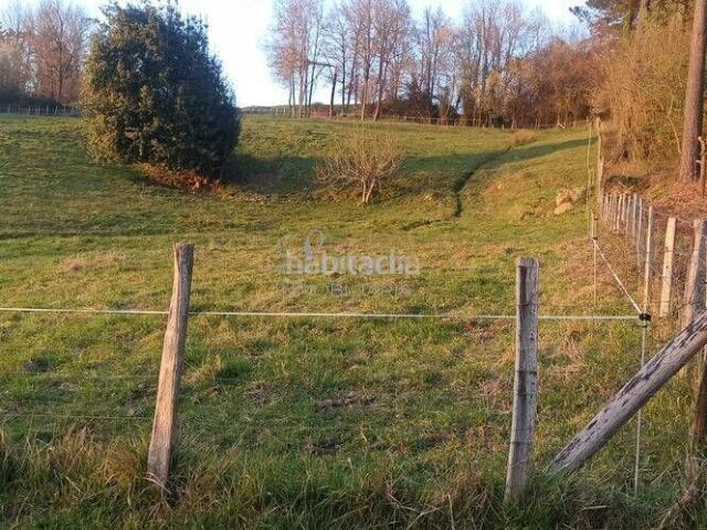 Masía en venta en Amorebieta Etxano. CASERIO BIFAMILIAR EN LUGAR PRIVILEGIADO. Masías Amorebieta.