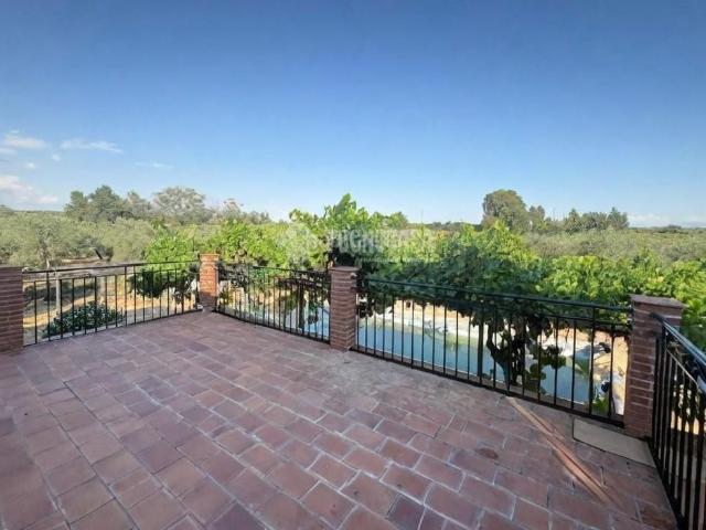 Masía en venta en Andújar. Casa rural en venta en Andújar. Masías.