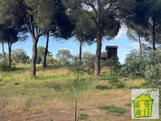Masía en venta en Andújar. Viña en venta en Andújar. Masías.