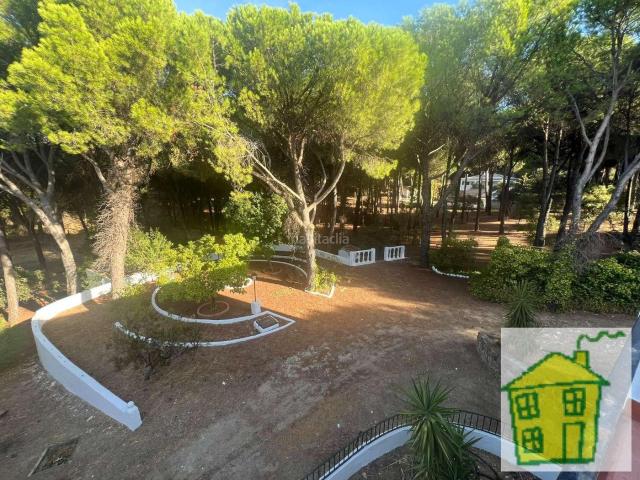 Masía en venta en Andújar. VIÑA EN VENTA ZONA ALCAPARROSA. Masías.