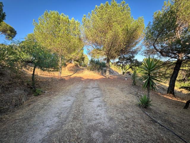 Masía en venta en Andújar. Viña en zona Alcaprrosa Dehesa El Pinar. Masías.