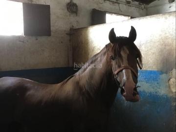 Masía en venta en Aracena. FINCA DE RECREO TOTALMENTE EQUIPADA, leer descripción. 50.000m2. Masías.