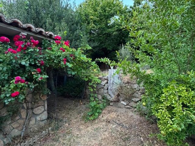 Masía en venta en Arenal El. INMOBILIARIA TASARENAS VENDE EN EL ARENAL. Masías Arenal.