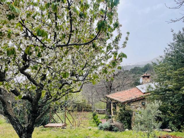 Masía en venta en Arenal El. INMOBILIARIA TASARENAS VENDE EN EL ARENAL. Masías Arenal.