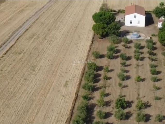 Masía en venta en Azuaga. FINCA RÚSTICA CON VIVIENDA, PISCINA Y OLIVAR EN AZUAGA. Masías.