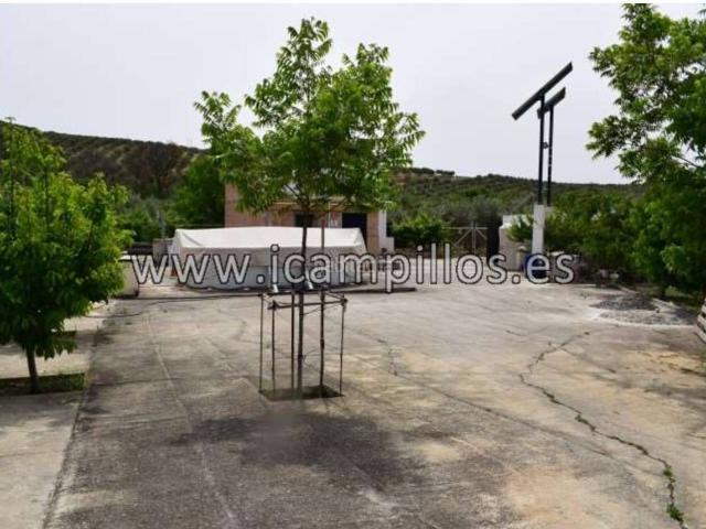Masía en venta en Baena. BUSCA UN RECREO? LO TENEMOS. Masías.