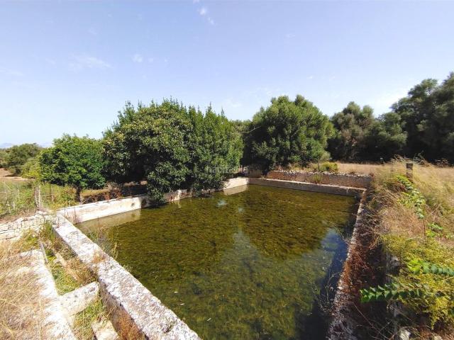 Masía en venta en Baleares Algaida. Gran casa de campo mallorquina de 2.000 m2 para restaurar con 55 hectáreas de terreno en Algaida. Masías.