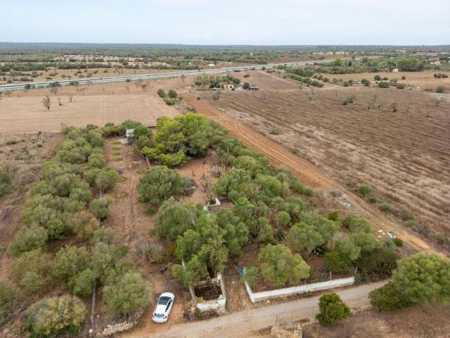 Masía en venta en Baleares Campos, Zona Rústica Interior. Finca rústica de dos habitaciones y 1.827 m² de parcela en Campos. Masías.