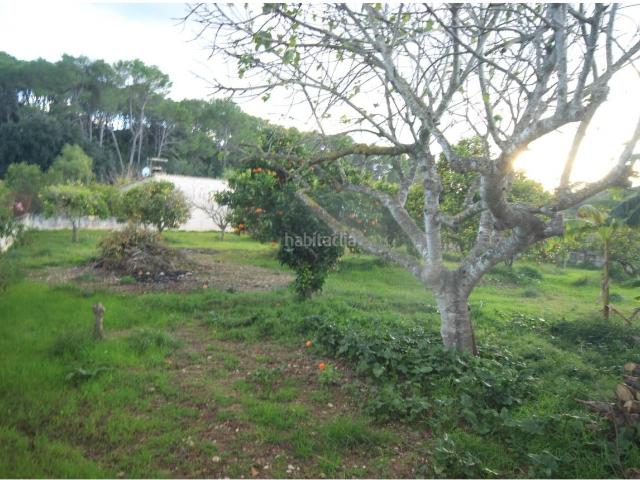 Masía en venta en Baleares Costitx. CASA DE CAMPO CON TERRENO. Masías.