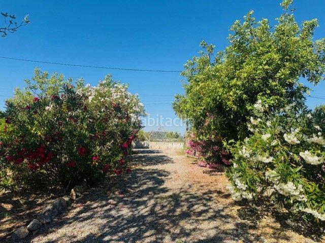 Masía en venta en Baleares Manacor, Manacor Centre. ¡Descubre esta encantadora finca rústica en Son Negre, San Lorenzo!. Masías.