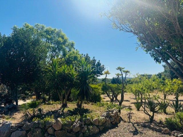 Masía en venta en Baleares Manacor, Manacor Centre. ¡Descubre esta encantadora finca rústica en Son Negre, San Lorenzo!. Masías.