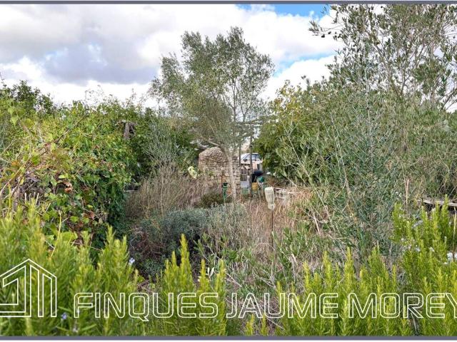 Masía en venta en Baleares Maria de la Salut. Finca rústica con caseta de aperos en venta en Maria de la Salud. Masías Maria de la.