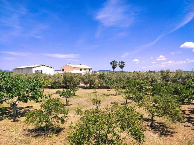 Masía en venta en Baleares Marratxí, Els pla de na Tesa. Finca a estrenar de aprox.700m2 construidos y 15.000m2 de terreno en venta en Marratxí, Mallorca. Masías.