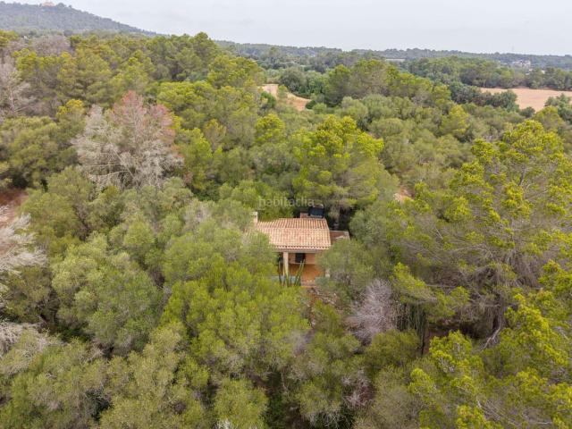 Masía en venta en Baleares Petra. Encanto rústico en plena naturaleza, a solo 5 minutos de Es Cruce Petra, Mallorca. Masías.