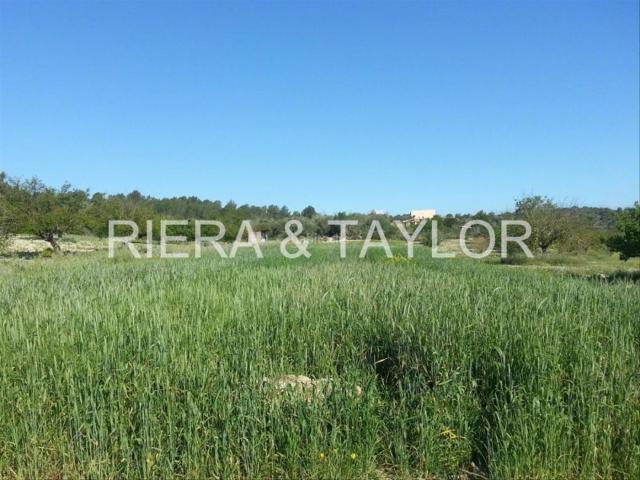 Masía en venta en Baleares Porreres. Villa 4 dorm inmejorable con piscina y viÃedo. Masías.