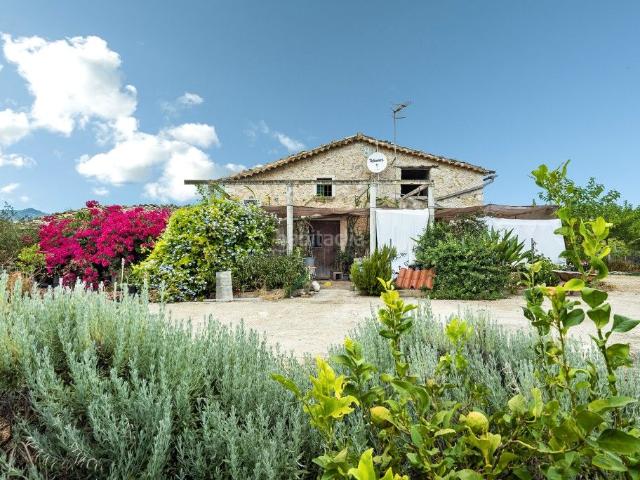 Masía en venta en Baleares Selva. Finca rústica en una gran parcela rural en venta en Selva, centro Mallorca. Masías.