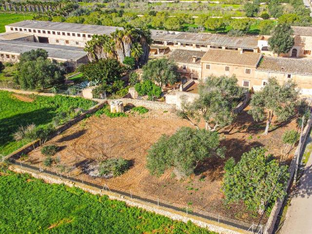 Masía en venta en Baleares Ses Salines, Ses Salines Poble. FINCA RUSTICA SES SALINES CON GRAN POTENCIAL. Masías Ses.