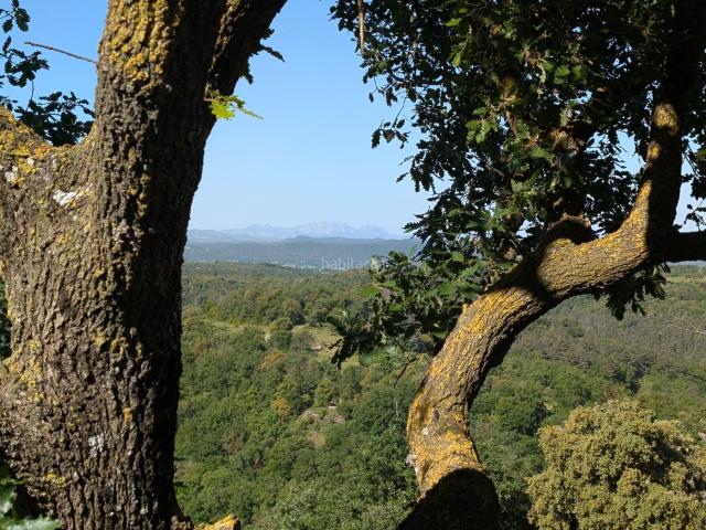 Masía en venta en Balenyà. Finca rural al mig del bosc a 6 km de CENTELLES. Masías.