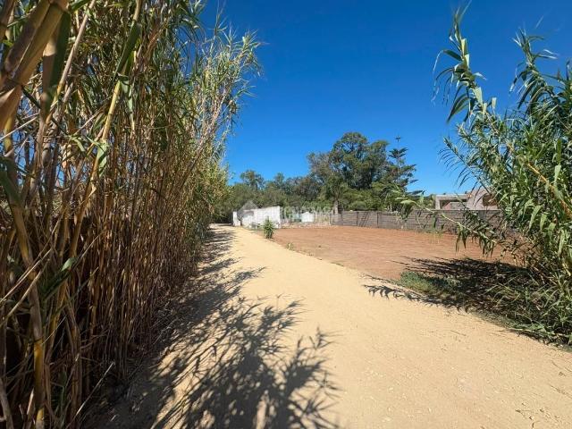 Masía en venta en Barbate, Barbate. Casa rural en venta en Vejer de la frontera. Masías.
