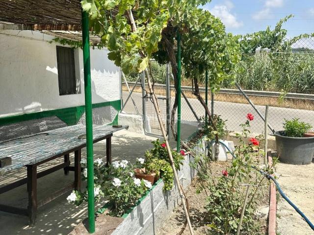 Masía en venta en Benamocarra. Casa con corral y piscina privada en parcela de 8.000m2. Masías.