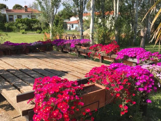 Masía en venta en Belvís de Monroy. PRECIOSA PARCELA CON CASA Y PISCINA EN URB. EL PINO, BELVÍS DE MONROY. Masías Belvís de.