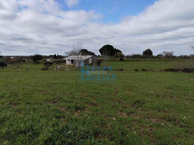 Masía en venta en Bollullos Par del Condado. Finca de 25000m2 en el Cetino con construcción de 90m2. Masías Bollullos Par del.