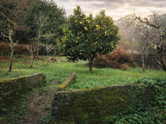 Masía en venta en Brión. Casa Campo en venta en Compostela Ames. Masías.