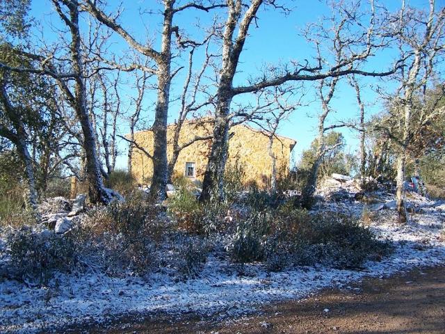 Masía en venta en Cabeza la Vaca. Finca rústica con casa de 120m2 a una hora de Sevilla, la mayor distancia por autovía Mérida. Rodeada de arbolado como olivos, enc. Masías Cabeza la.
