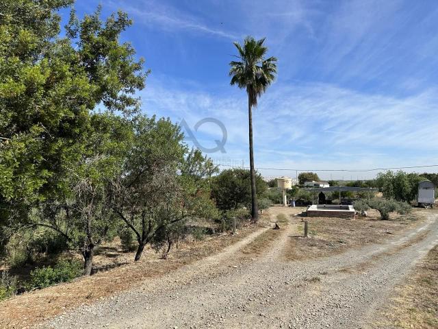 Masía en venta en Cabezas de San Juan Las. FINCA RUSTICA EN ZONA RANCHO CORTES. Masías Cabezas de San Juan.