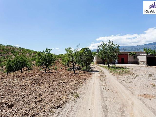 Masía en venta en Cádiar. FINCA DE MÁS DE 25 HECTÁREAS CON ALMENDROS ECOLÓGICOS Y CORTIJO. Masías.