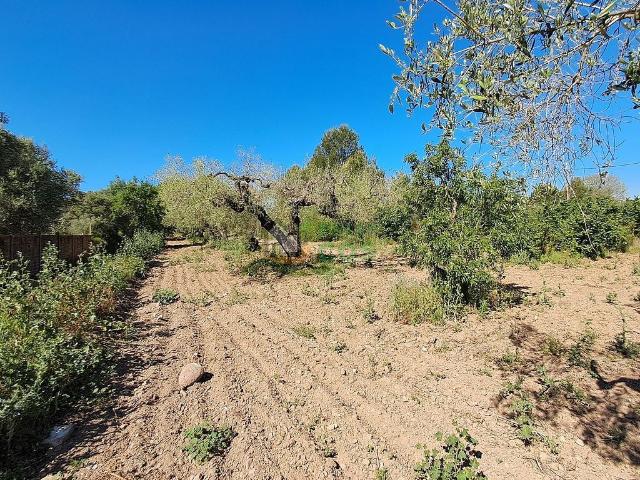 Masía en venta en calle De la Ginesta, Reus, de 76 m² 1 habitación por 215.000