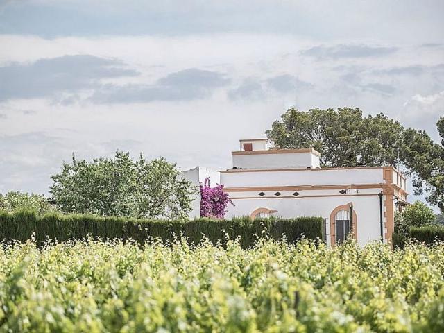 Masía en venta en calle Masia Vallfort, Sant Jaume dels Domenys, de 596 m² 5 habitaciones por 790.000