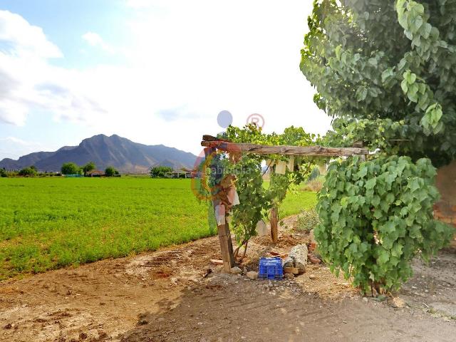Masía en venta en Callosa de Segura. Finca rústica urbanizable con vivienda para reformar Vega Baja, Callosa de Segura. Masías Callosa de.