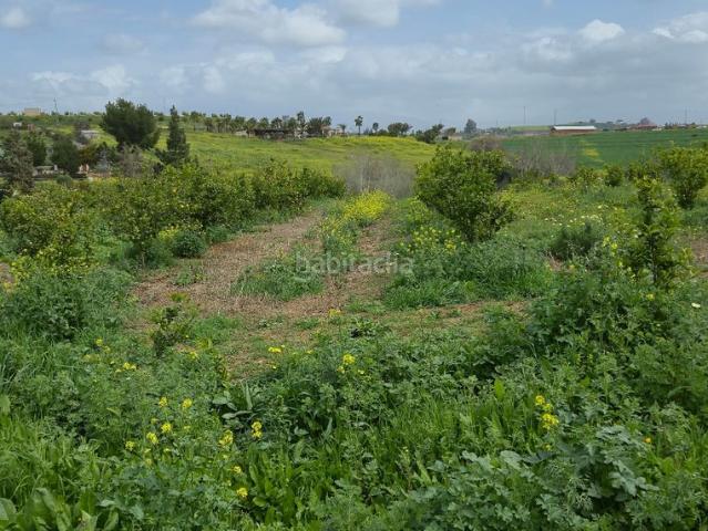 Masía en venta en Cártama, Casalpalma Fahala. Finca en venta en Villafranco del Guadalhorce. Masías.