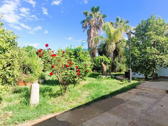 Masía en venta en Castellet i la Gornal. Casa en venta en Castellet I La Gornal, de planta baja, 4250 m2 de terreno, al lado de una población. Masías Castellet i la.