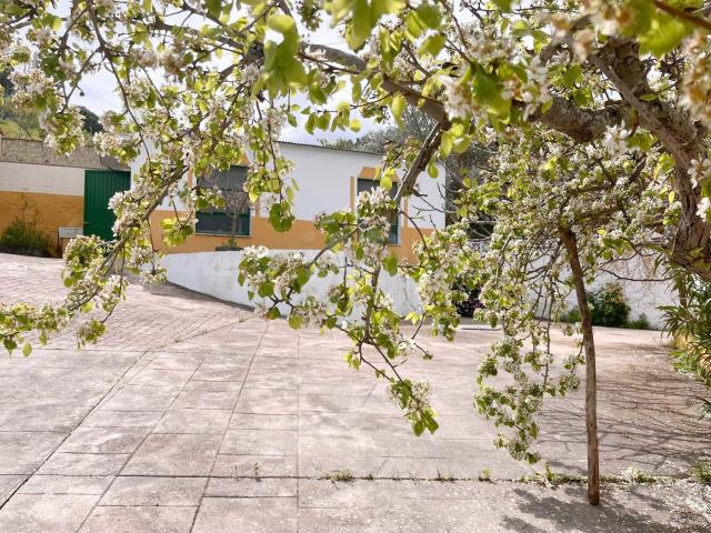 Masía en venta en Casabermeja. Masías.