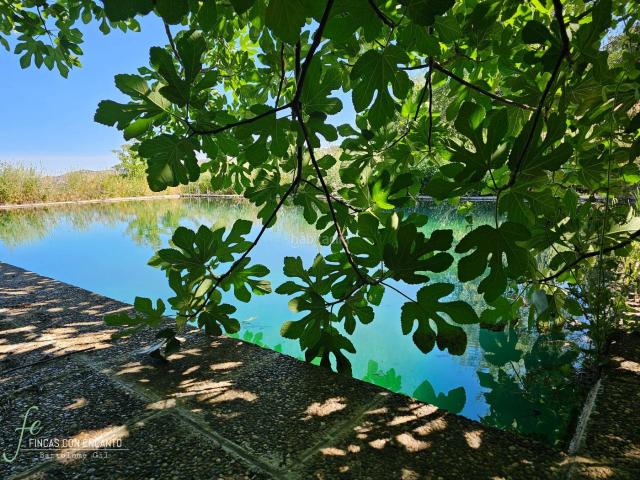 Masía en venta en Cazalla de la Sierra. Preciosa finca en Cazalla de la Sierra. Masías Cazalla de la.