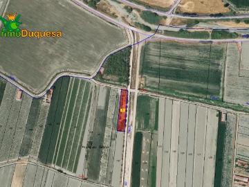 Masía en venta en Chauchina. Finca rústica con construcción. Chauchina. Masías.