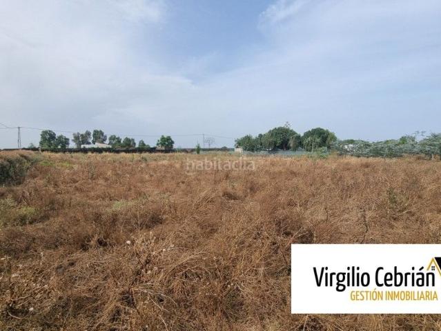 Masía en venta en Chipiona, Las Tres Piedras Costa Ballena. L054 VC 1148. Casa de campo a la venta, construcción de 100 metros más invernadero de 300, parcela de 8.100 m vivienda. Masías.
