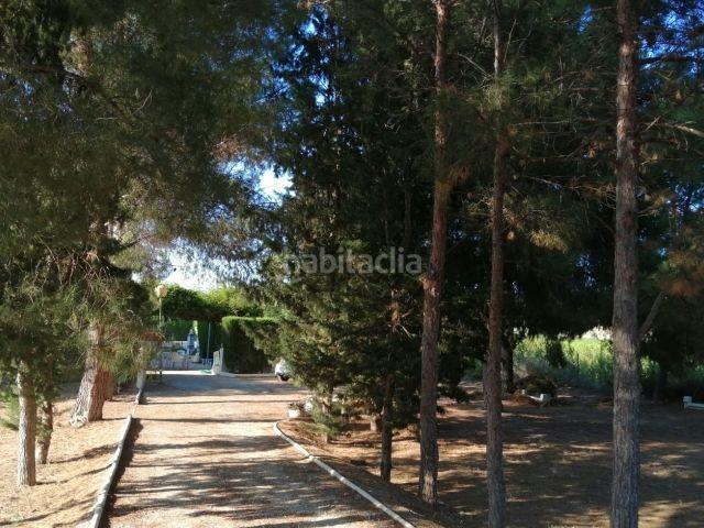 Masía en venta en Cieza. Amplia casa de campo en la Veredilla. Masías.