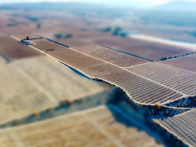 Masía en venta en Cieza. FINCA AGRICOLA CON CASA Y PISCINA EN LA FUENTE DEL PERAL. Masías.