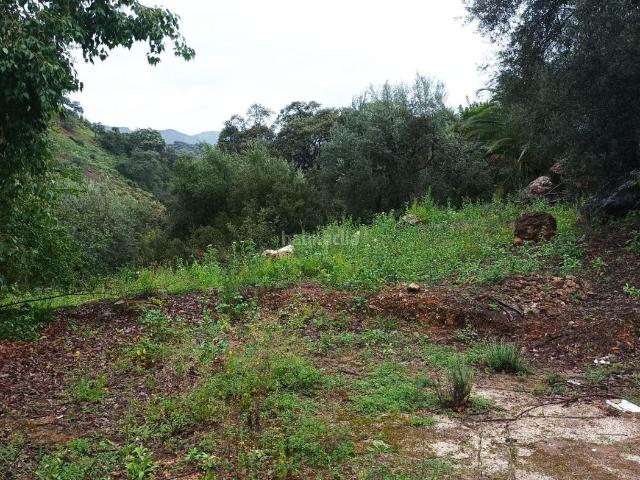 Masía en venta en Comares. Finca rústica a la venta en Comares. Masías.