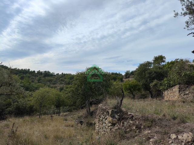 Masía en venta en Coll de Nargó. Casa Rústica 350.000 m de terreno. Masías Coll de.